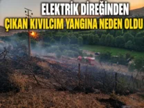 D34F7A05-8F0A-45FB-B76E-D862131DA5A9