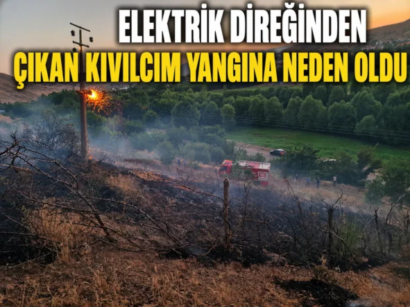 ELEKTRİK DİREĞİNDEN ÇIKAN KIVILCIM YANGINA NEDEN OLDU